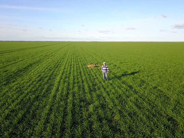 Stuart in field